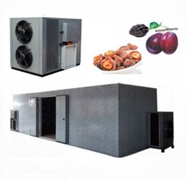 качество  High Efficiency Commercial Food Dehydrator Use Apricot Fruit Heat Pump Drying Machine завод