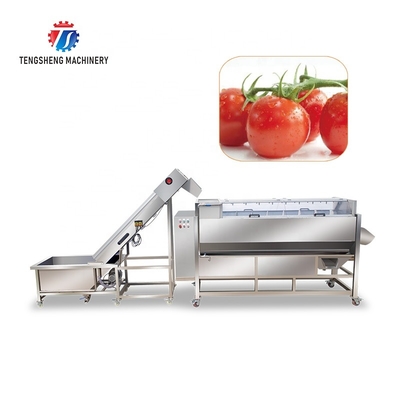 Easy Operation Commercial Automatic Vegetable Fruit and Potato Hair Roller Washing Machine Pre-foaming Lifting Production Line